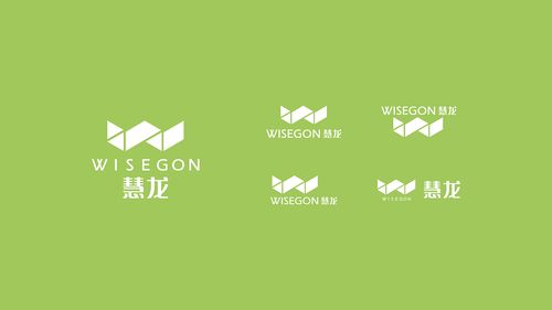 慧龙环保科技 品牌设计