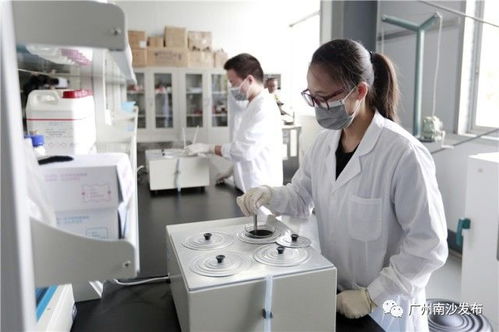 果味醒神水 蚕丝骨钉 这些高科技环保产品你听过吗 在南沙这家环保企业通通找得到